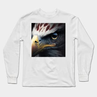 USA, Bald Eagle, America, American Flag, Long Sleeve T-Shirt